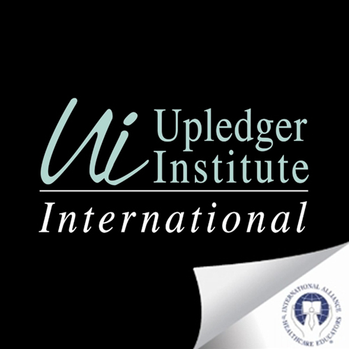 ORGANIGRAMMA DELL’UPLEDGER INSTITUTE INTERNATIONAL – USA